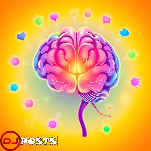 Unlocking the Secrets of Your Brain: The Ultimate Guide to Neurotransmitter Testing 3 neurotransmitter testing