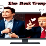 The Impact ofElon Musk TrumpDiscussions on Wall Street and Public Opinion