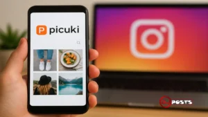 Picuki Tips